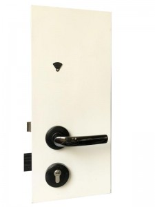 Hotel Door Lock Supplier in Malaysia